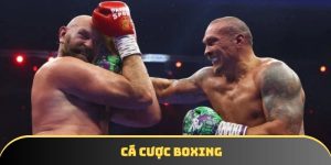Cá cược Boxing | Những mẹo chơi hay từ cao thủ DA88