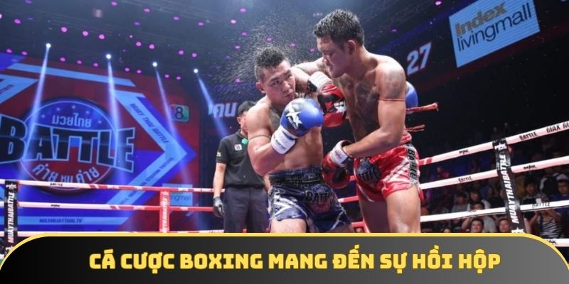 Cá cược boxing mang đến sự hồi hộp, kịch tính Cá cược boxing mang đến sự hồi hộp, kịch tính