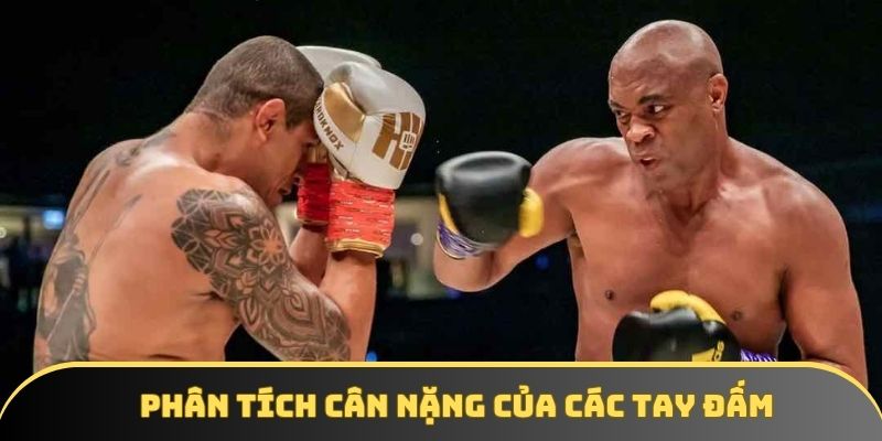 Phân tích cân nặng của các tay đấm Phân tích cân nặng của các tay đấm