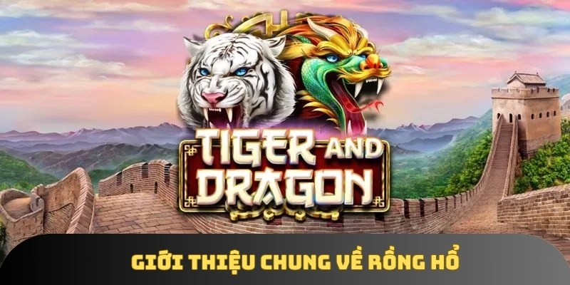 Giới thiệu chung về rồng hổ Giới thiệu chung về rồng hổ