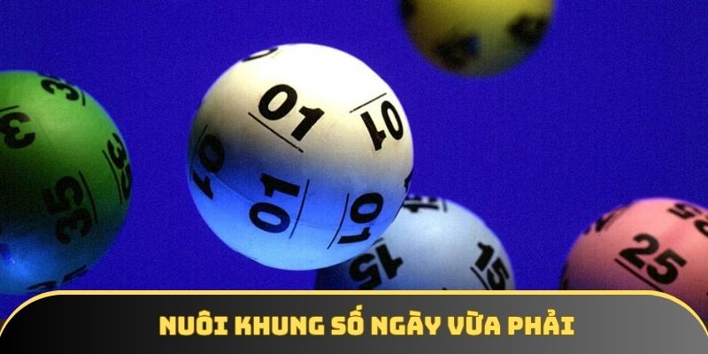 Nuôi khung trong các ngày hợp lý Nuôi khung trong các ngày hợp lý
