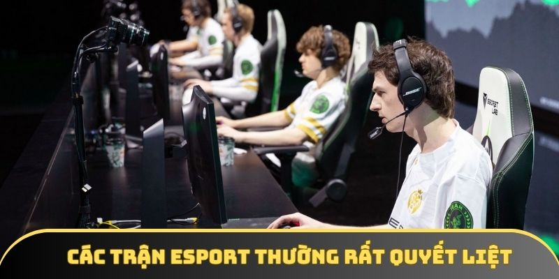 Cạnh tranh trong Esport cực kỳ khắc nghiệt Cạnh tranh trong Esport cực kỳ khắc nghiệt