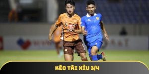 Kèo tài xỉu 3/4 | Bật mí phương pháp tham gia cá độ hiệu quả