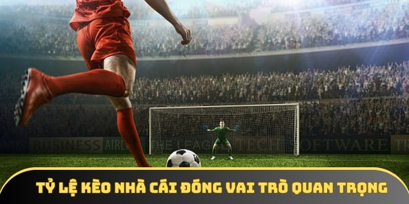 Tỷ lệ kèo nhà cái đóng vai trò quan trọng Tỷ lệ kèo nhà cái đóng vai trò quan trọng