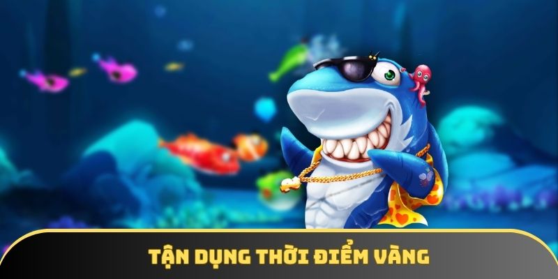 Tận dụng thời điểm vàng
