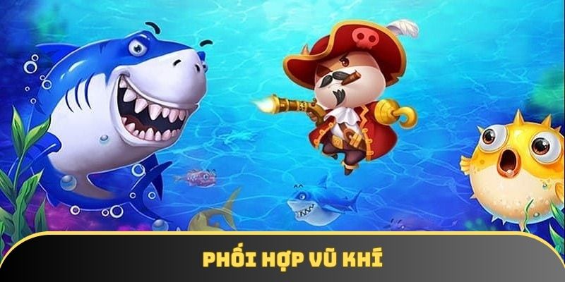 Phối hợp vũ khí 
