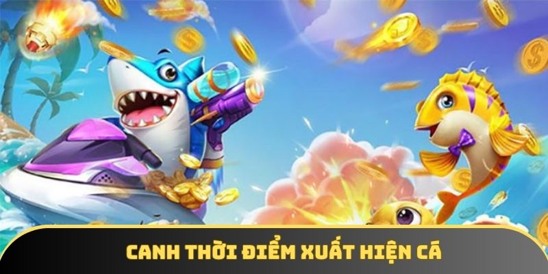 Canh thời điểm xuất hiện cá Canh thời điểm xuất hiện cá