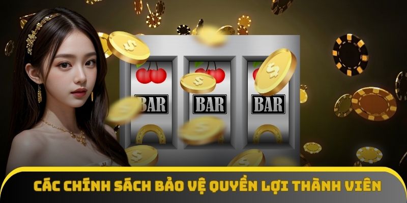 Các chính sách bảo vệ quyền lợi thành viên Da88 Các chính sách bảo vệ quyền lợi thành viên Da88