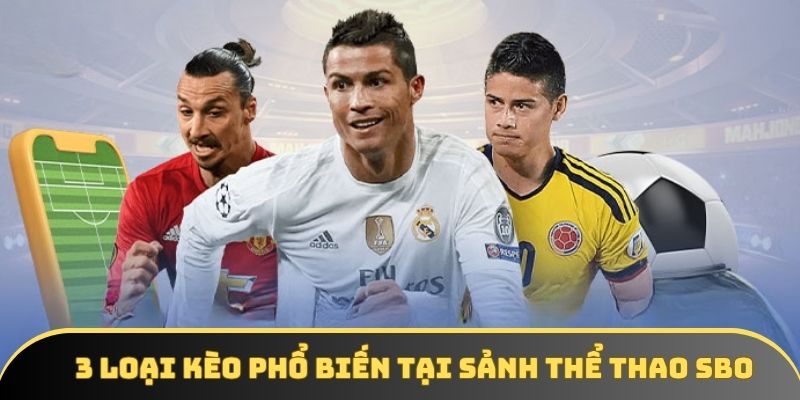 Tân binh nên nắm rõ cách hoạt động của 3 loại kèo phổ biến trên Tân binh nên nắm rõ cách hoạt động của 3 loại kèo phổ biến trên