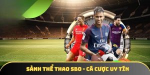 Sảnh thể thao SBO - Cá cược uy tín, tỷ lệ cực cao 2025