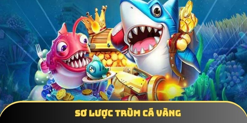 Sơ lược trùm cá vàng Sơ lược trùm cá vàng